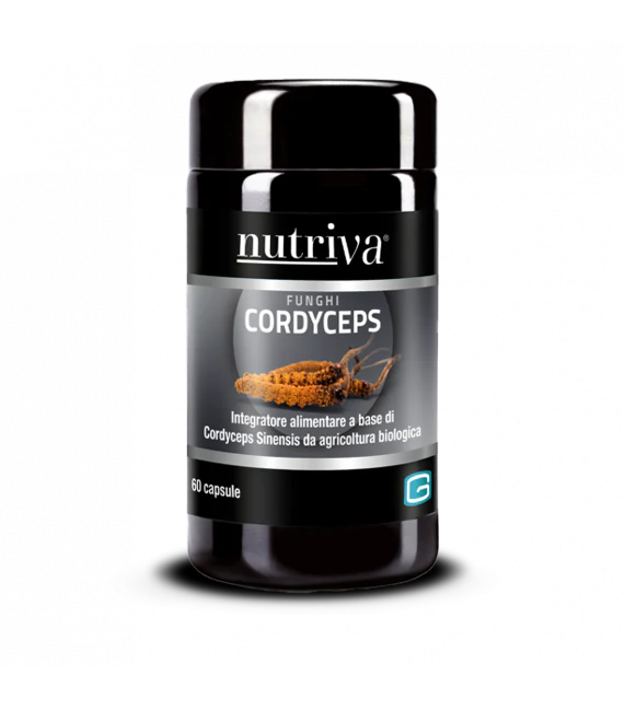 Cordyceps