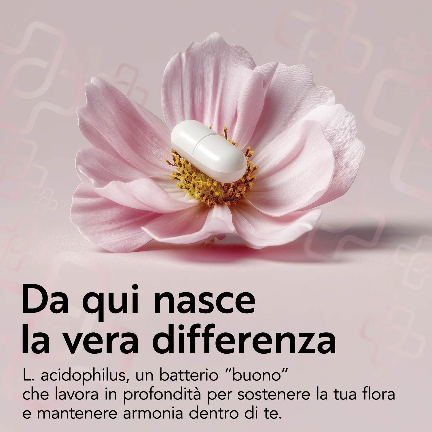 Cysti D-Mannosio - Image 3